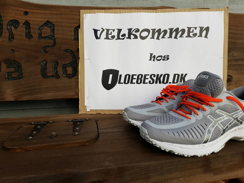 test af Asics Metarun