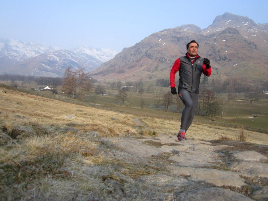 trail running shoes from adidas