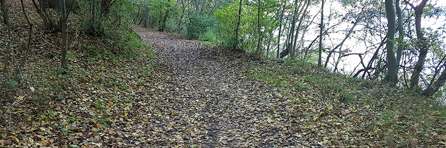 Run trail and become more free