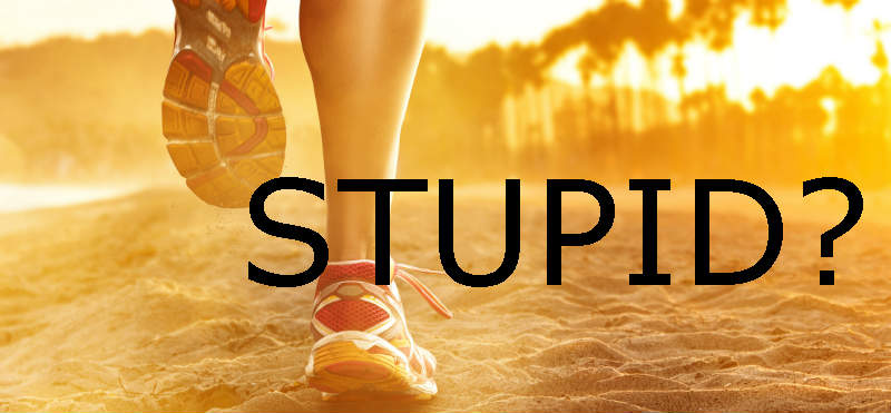 Are we runners stupid? Find the answer here