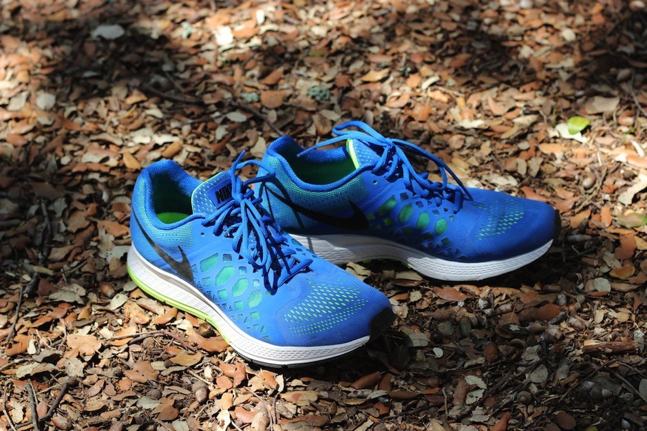 Nike Air Pegasus running training trail