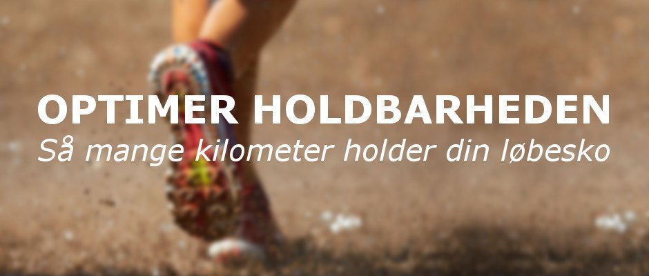 holdbarhed