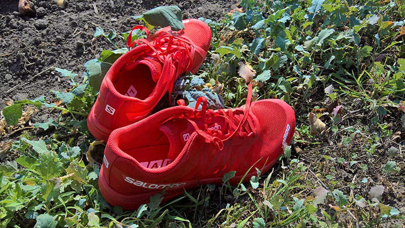 salomon-sonic-pro-video